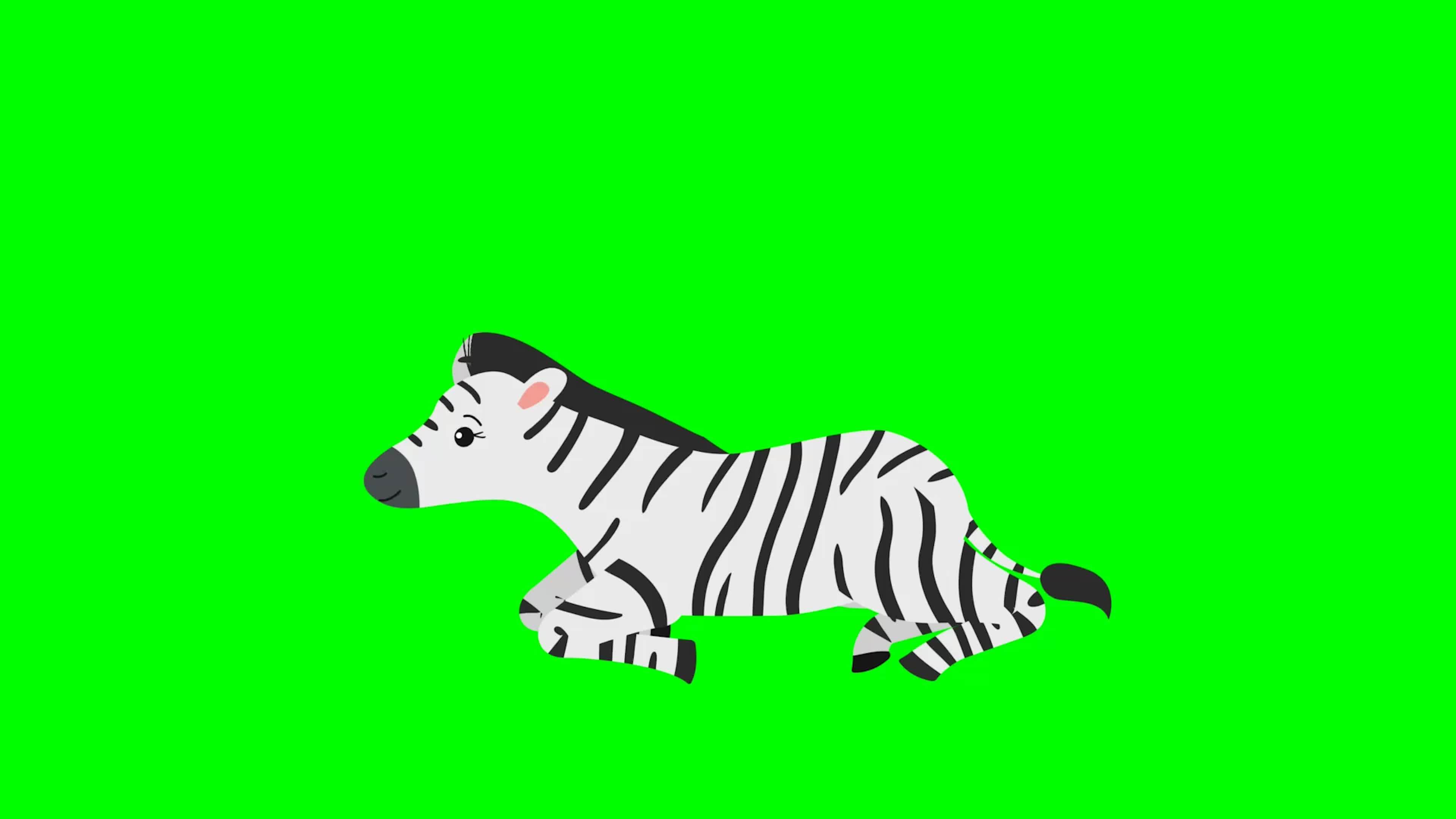 Cartoon Green Screen - Animal - Zebra Sitting - Standing 11999316 Stock  Video at Vecteezy