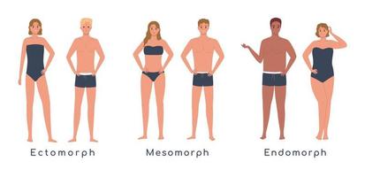 Body Types Flat Set vector