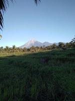 hermoso paisaje natural en una mañana soleada foto