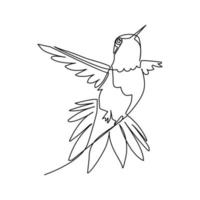 Ilustración de vector de colibrí