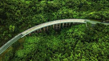 An aerial view of  Road or bridge is in the middle of a forest photo