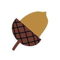 oak acorn in hand drawn flat style. vector children's illustration.