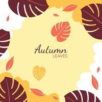 Fallen Leaf Beautiful Fall Autumn Season Background vector