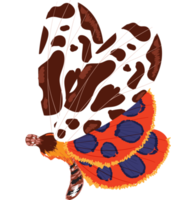 elegantes borboletas exóticas coloridas asas decorativas png