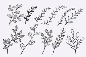 flower leaves doodle hand drawn vector illustration set