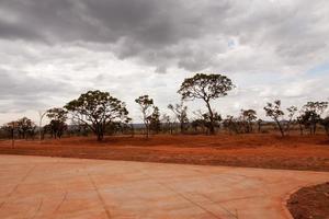 tierra, maleza, árboles y vegetación que se limpiaron en el parque burle marx en la sección noroeste de brasilia, conocida como noroeste para ayudar a reducir los riesgos de incendio en el parque foto