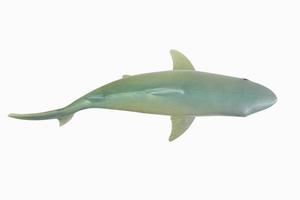 figure toy white shark isolated closeup image. photo