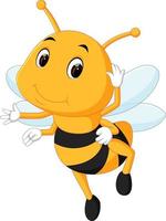 honey bee on a white background vector