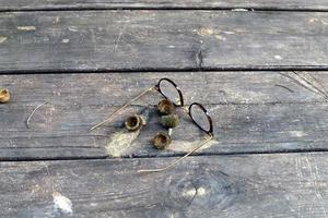 Old glasses are lying in the city park on the seashore. photo