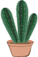 ensemble de peinture de cactus, style dessiné à la main. png