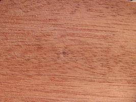 Tree structure background photo