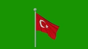 Turkey flag green video