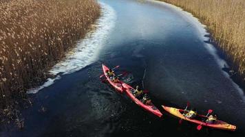 Orange kayaks paddle through wildlife marsh stream video