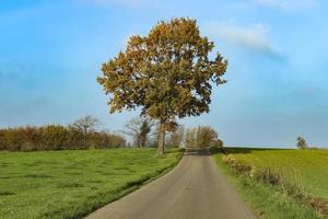 Beautiful view on countryside roads with forests and trees in northern europe photo