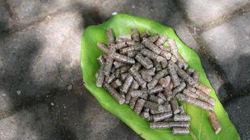 Wood pellets piled on slightly dry leaves photo