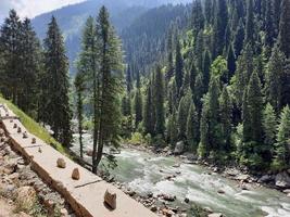 Kashmir is the most beautiful region in the world which is famous for its green valleys, beautiful trees, high mountains and flowing springs. photo