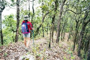 joven caminante mujer caminando sobre la roca superior, mujer mochila mirando el hermoso valle de montaña a la luz del sol en verano, paisaje con chica deportiva, colinas altas, bosque, cielo. viaje y Turismo. foto