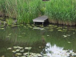 the city of Doesburg in the netherlands photo