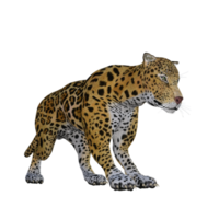 Jaguar 3d pose illustration model png