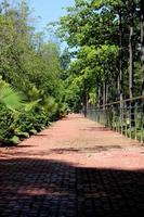 un sendero cerca del jardín de rocas, almatti. foto