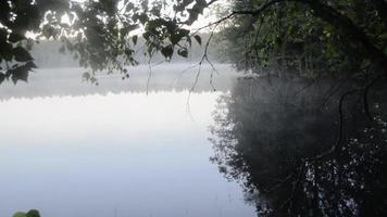 de vorming van ochtend- mist Aan de meer.vocht damp stijgt van de oppervlakte van de water. video