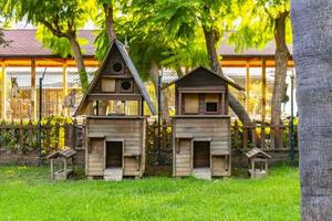 casa de madera para gatos en el jardín foto