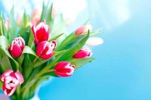 Lovely pastel pink tulips bunch, floral border at light background, top view. Layout for springtime holidays. Mother day greeting card photo