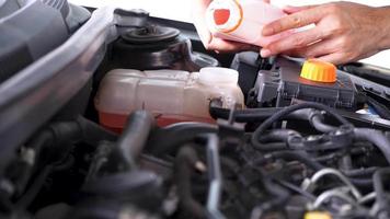 el mecánico llena el anticongelante rosa. nivel de refrigerante automático en las piezas de automóviles del sistema del radiador del automóvil, concepto de la industria automotriz video