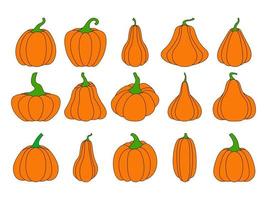 A set of pumpkins of various shapes, with a black outline. Vector collection of hand-drawn pumpkins on a white background. Elements for autumn decorative design, an invitation to Halloween.Pumpkin