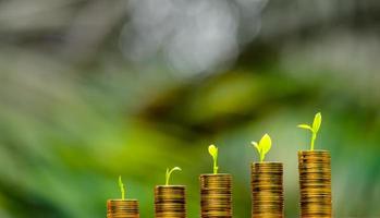 Business Finance and Money concept,Save money for prepare in the future.tree growing on coin of stacking gold coins with green bokeh background photo