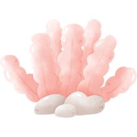 watercolor sea coral png