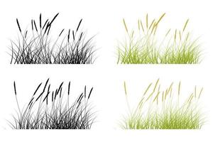 hierba corta, hierba de pampa vector