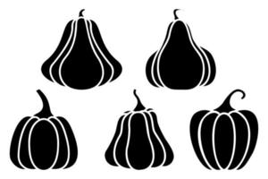 Black Pumpkin. Set of silhouettes of different pumpkins. Black silhouettes of pumpkins. Isolated on white. vector