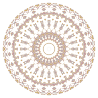 Abstract floral ornament mandala png