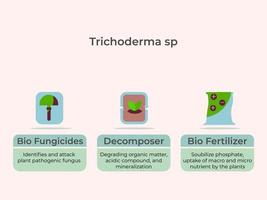 Role of trcichoderma sp as bio fungicides, decomposer and biofertilizer vector