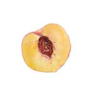 acquerello pesca frutta fetta png