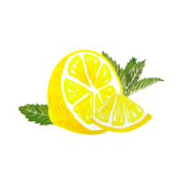 vattenfärg citrus- citron- skiva png