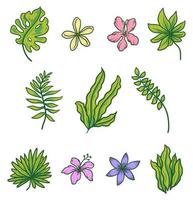 Tropical set with fowers and palm leaves, hand drawn line art vector illustration