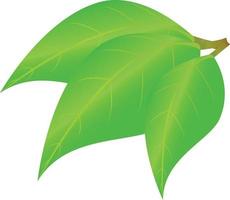 Flat vector image for logo, icon, leaf theme