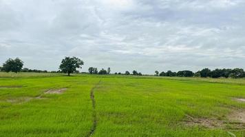 café de campo de arroz con gran ambiente en ayuttaya tailandia foto