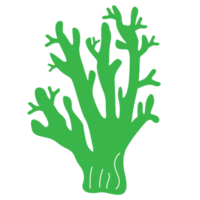 Coral reef  icon element png