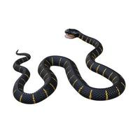 ilustración 3d de serpiente de manglar foto