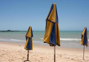 Blue and Gold folded Umbrellas stuck in the sandy shoreline at Iracema Beach in Fortaleza, Brazil photo