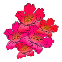 le coquelicot rouge png