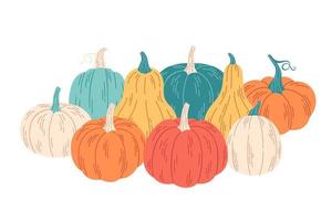 Pumpkins of different colors and shapes. Hello autumn, autumn harvest. vector