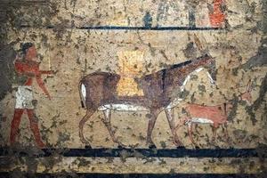 Egyptian paintings on wall in valley of Kings photo