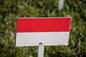 indonesia flag isolated on green grass photo