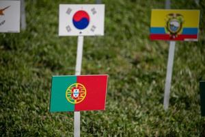 Portugal and united nations many flags on grass photo