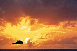 Wonderful sunset in french polynesia photo