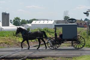 vagón buggy en lancaster pennsylvania país amish foto